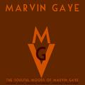 The Soulful Moods of Marvin Gaye