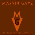 The Soulful Moods of Marvin Gaye专辑