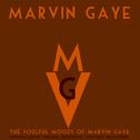 The Soulful Moods of Marvin Gaye