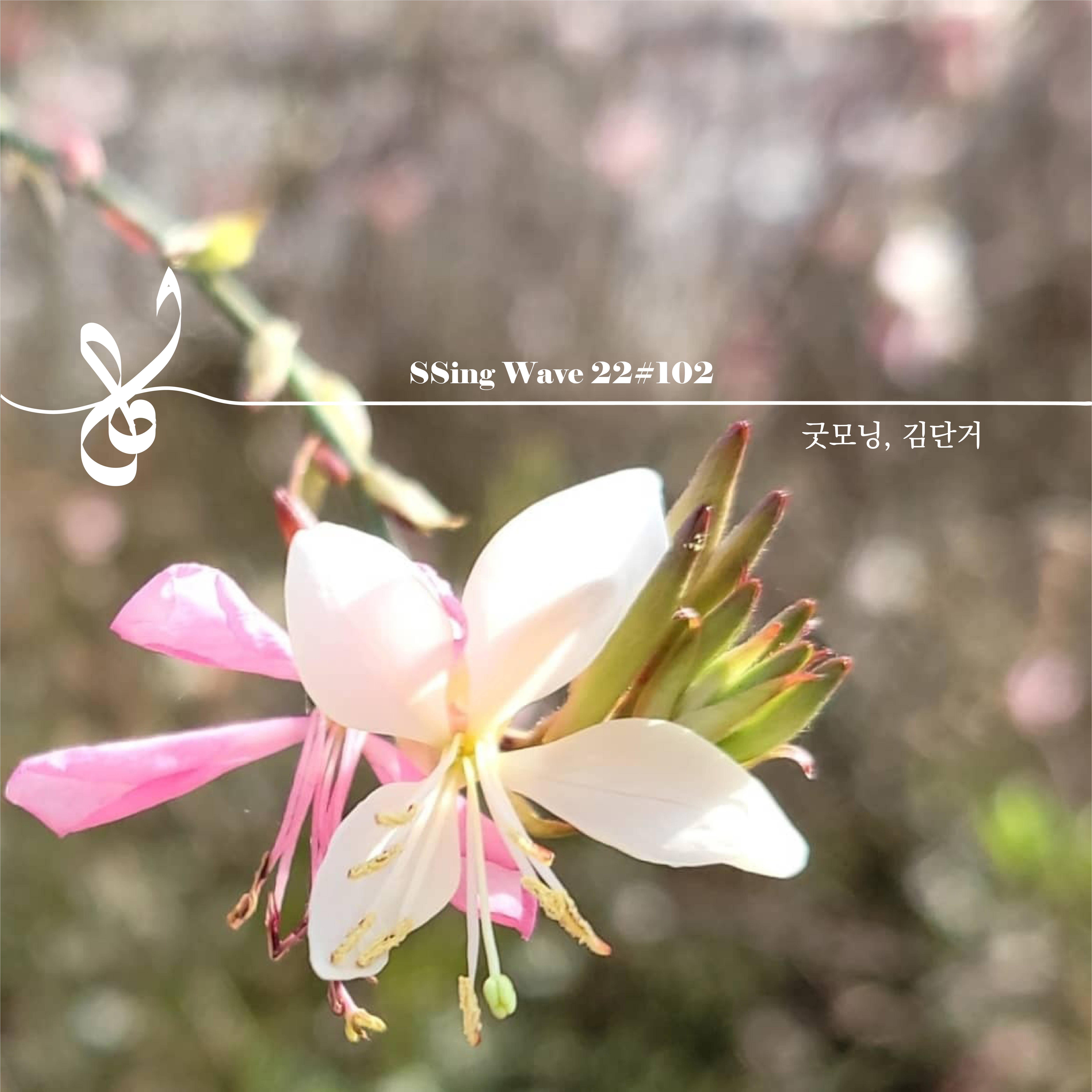 SSing Wave 22#102