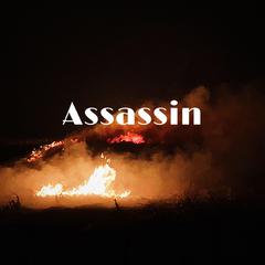 Assassin