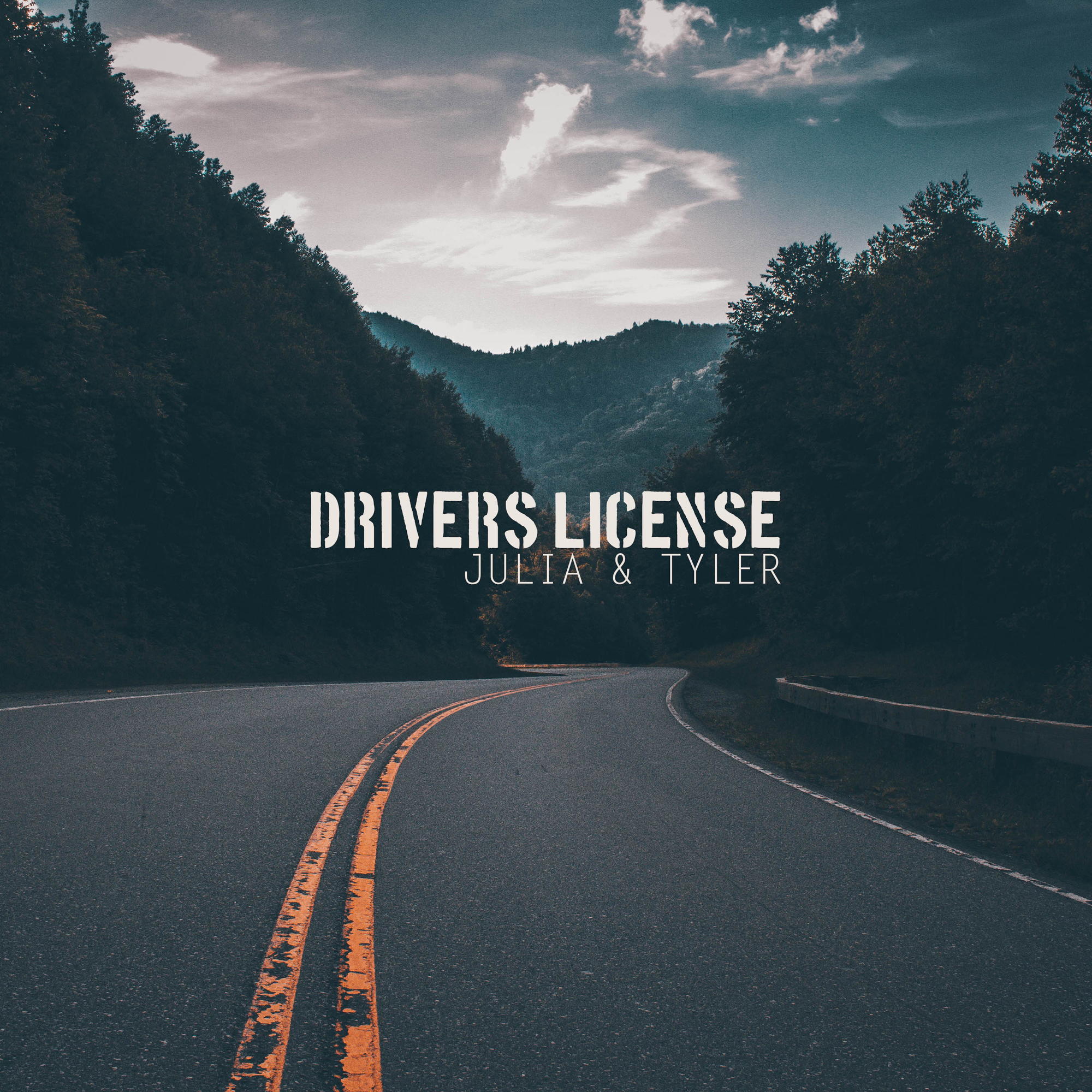 Drivers License