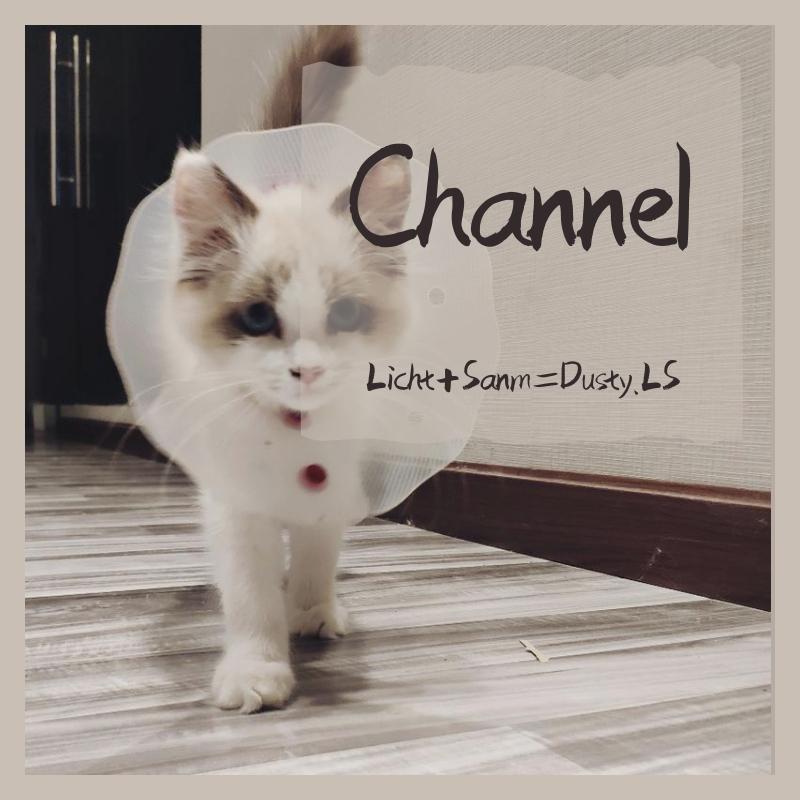 Licht - Channel