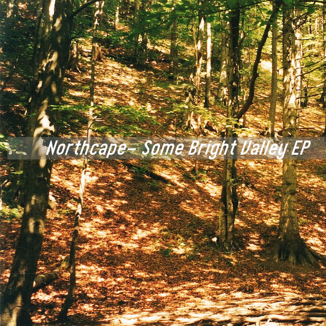Some Bright Valley