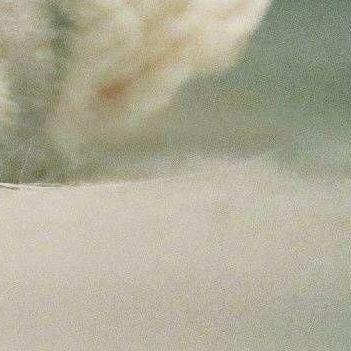 独行侠+爱如潮水（remix）