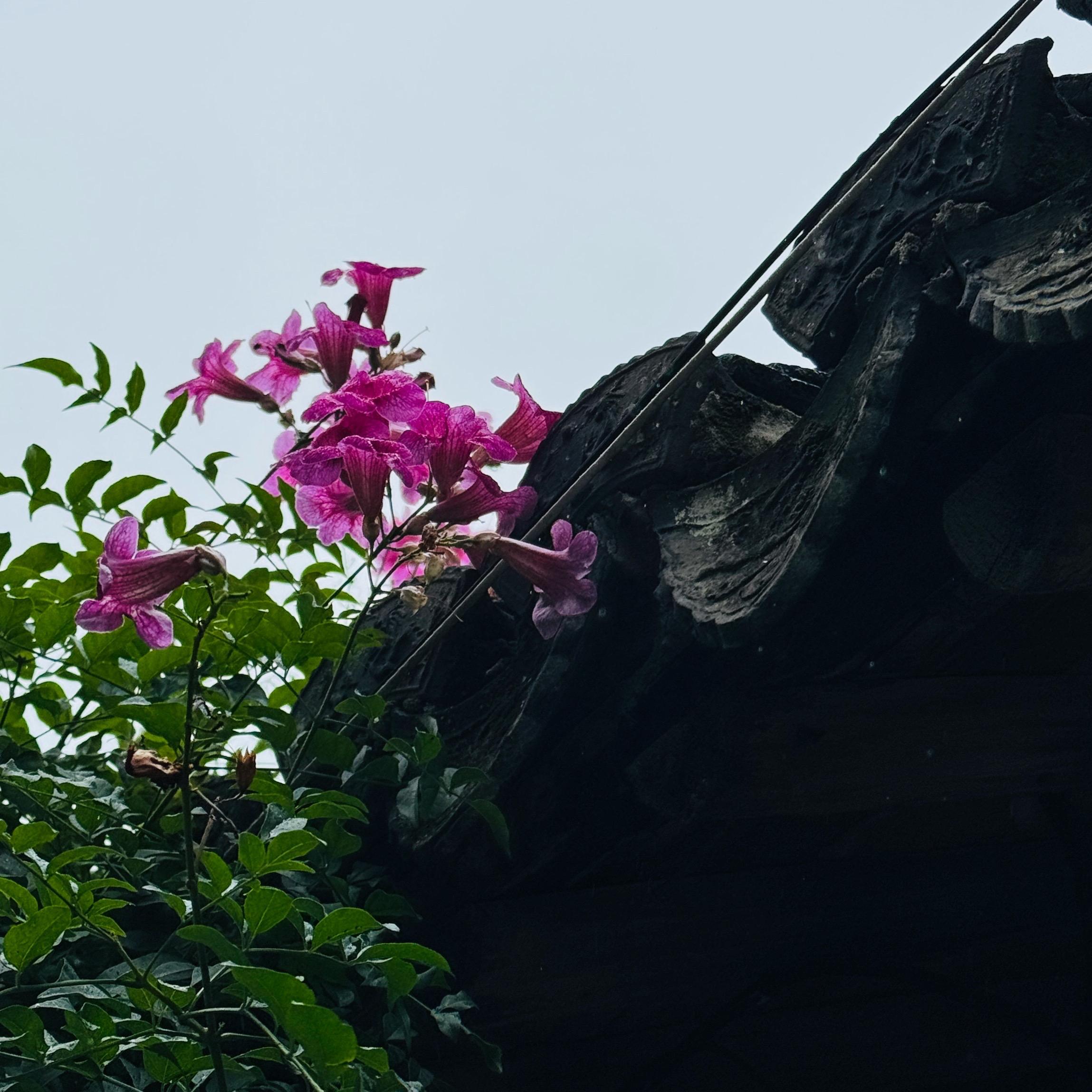 运动 160-180 节奏控 （踩点） | 在线播放 | 网易云音乐