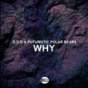 Why (Extended Mix)专辑