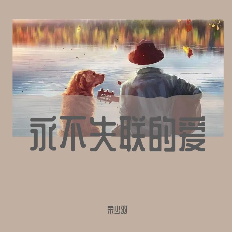 永不失联的爱