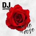 La Vie en Rose (DJ Antoine Vs Mad Mark 2k17 Mix)专辑