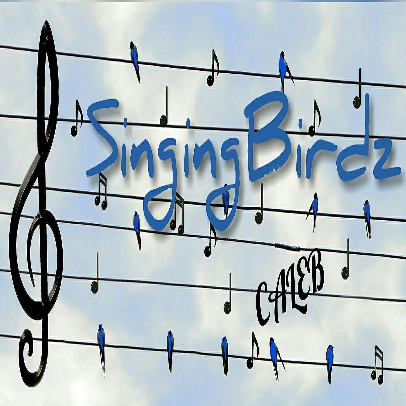 Singingbirdz