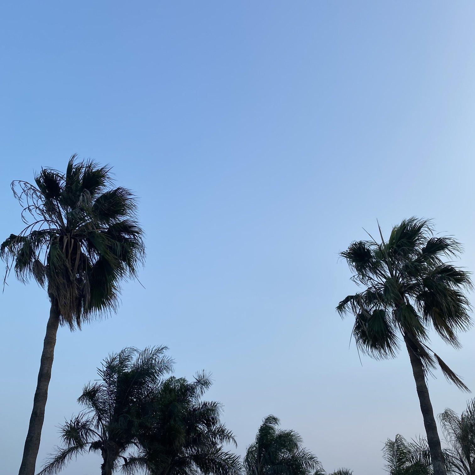 Young and Beautiful(Original MIX 2K22)