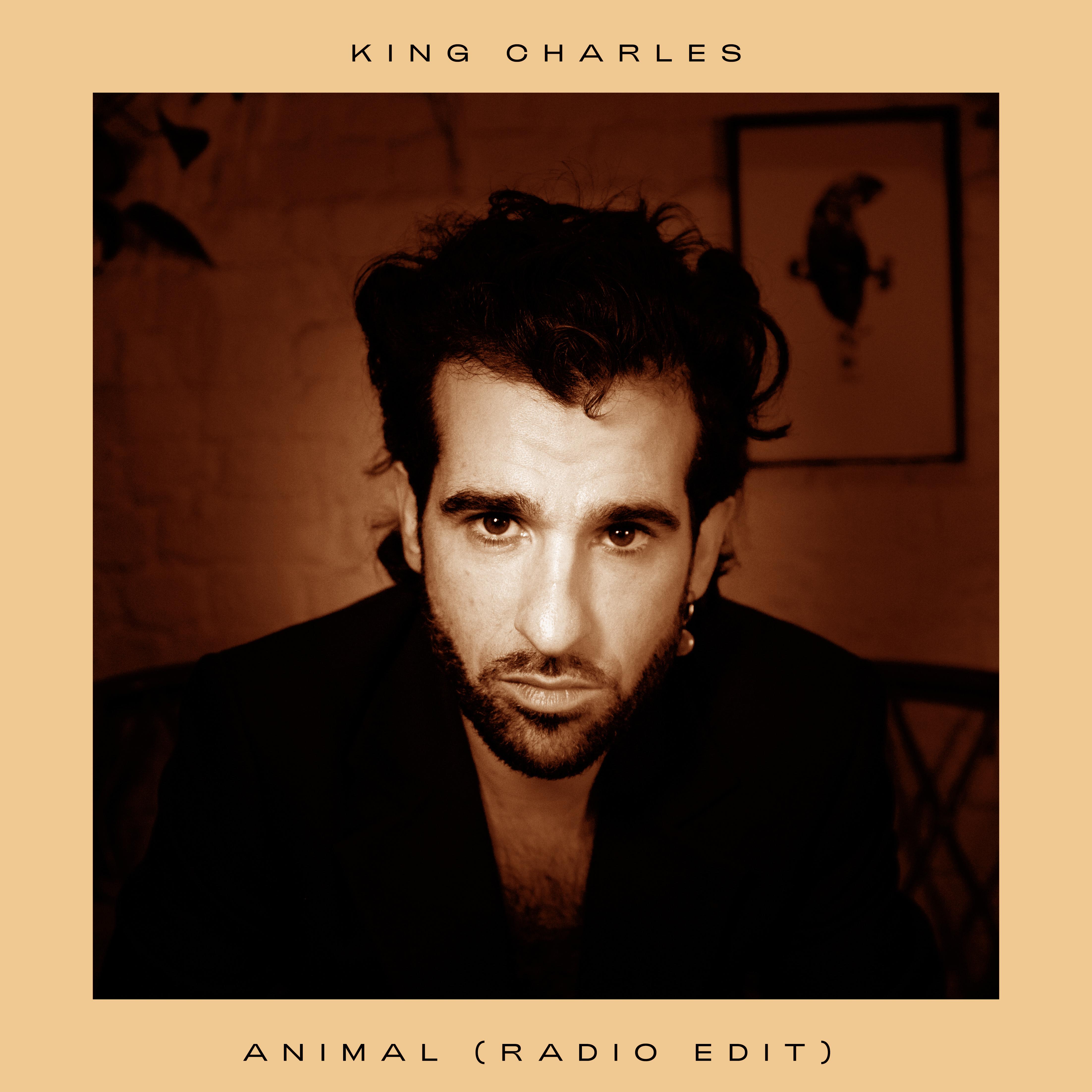 Animal (Radio Edit)