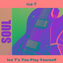 Ice T's You Play Yourself专辑