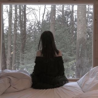 Lieesx
