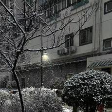 东京雪