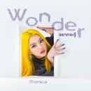 อยากจะรู้ (wonder)