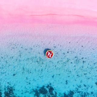 热带白日梦丨东南亚梦泡自赏