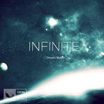 Infinite（Vip Remix）专辑