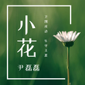 小花专辑