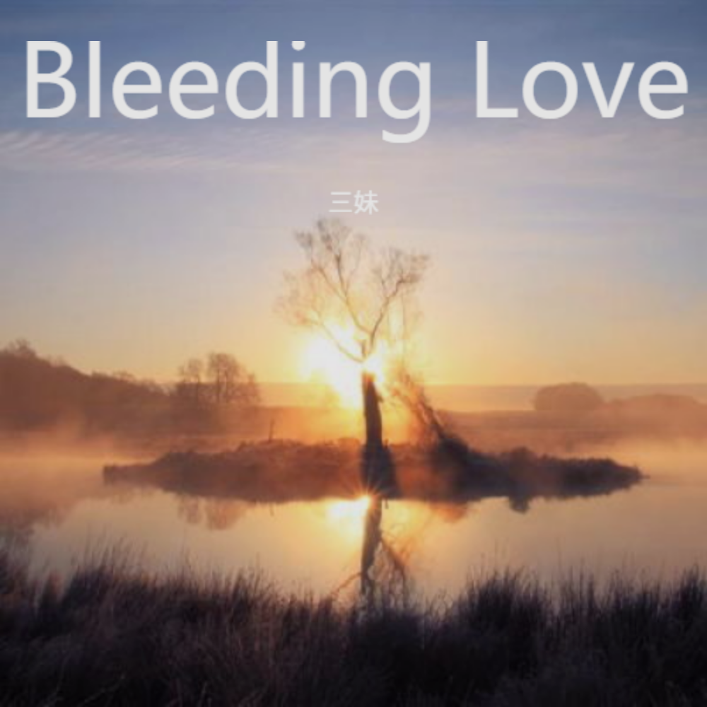 Bleeding Love（伴奏）