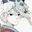 iSliverFox