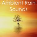 17 Ambient Rain Sounds for Deep Sleep and Natural Yoga Background Music