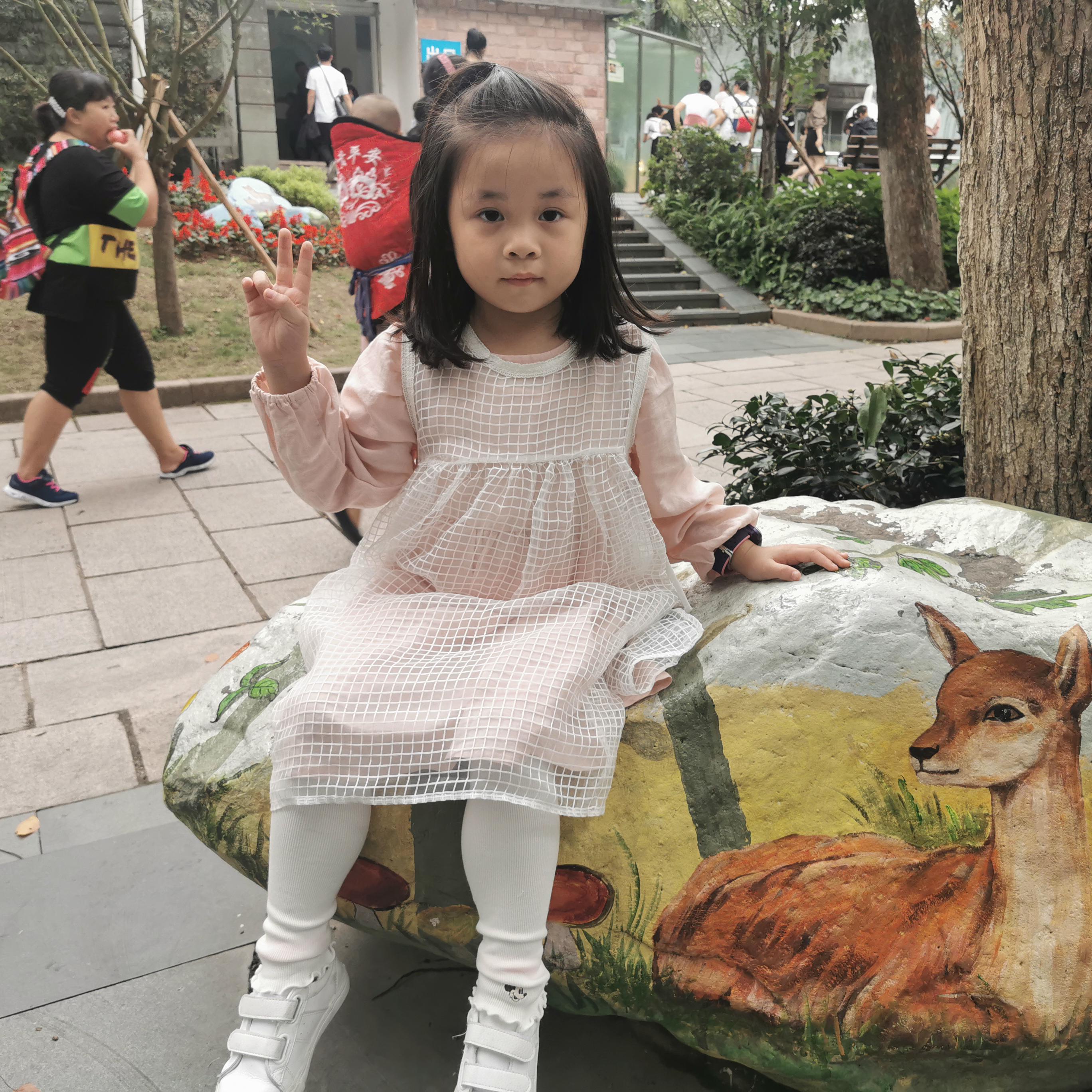 张译心