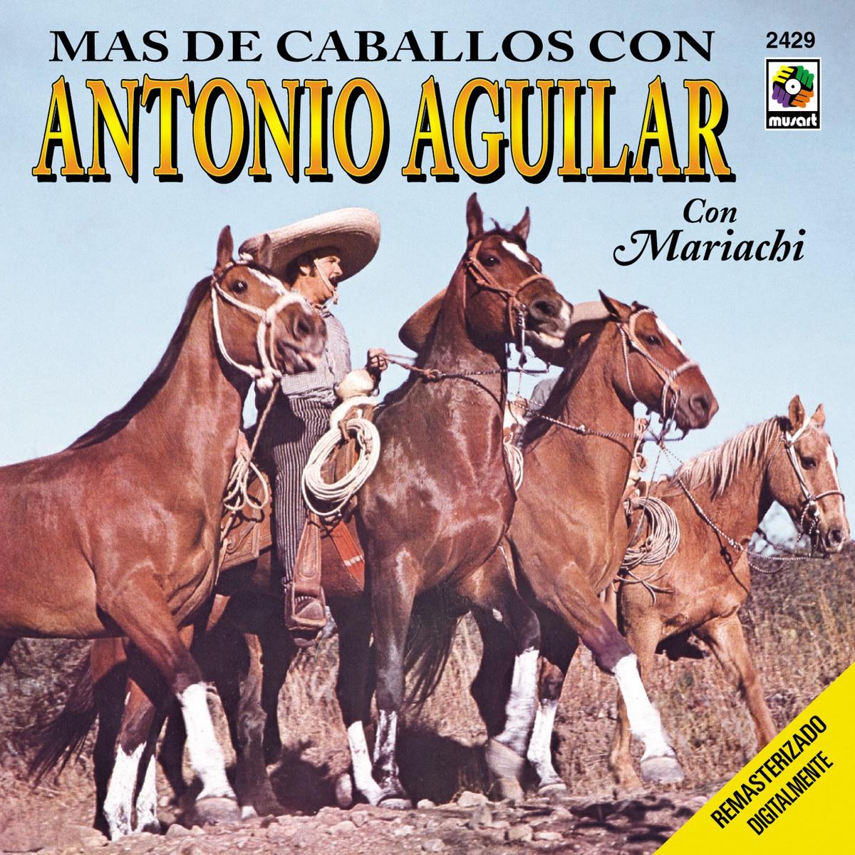 Mas De Caballos