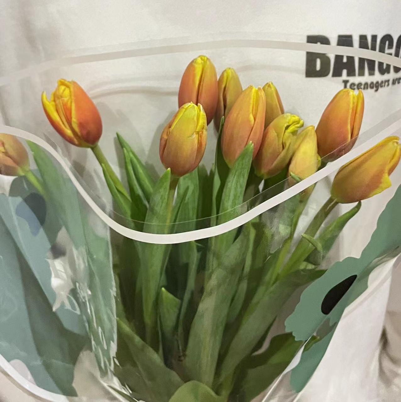 YOU (thomeboydontkill)