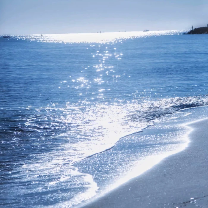 蔚蓝海岸【完整版】