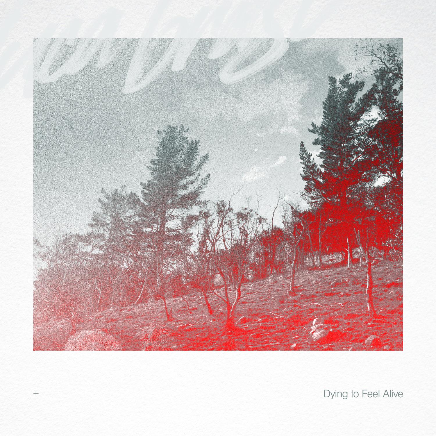 Dying to Feel Alive