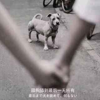 【七夕前奏】唱尽卑(tian)微(gou)心酸事
