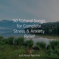 50 Natural Songs for Complete Stress & Anxiety Relief