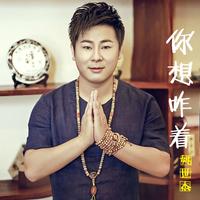 姚世杰 - 你想咋着(原版立体声伴奏)