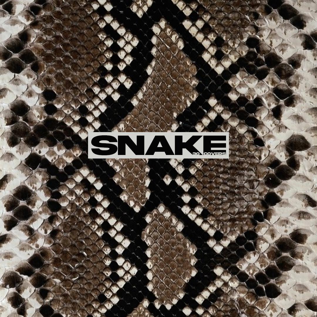 Snake (中文填词版)