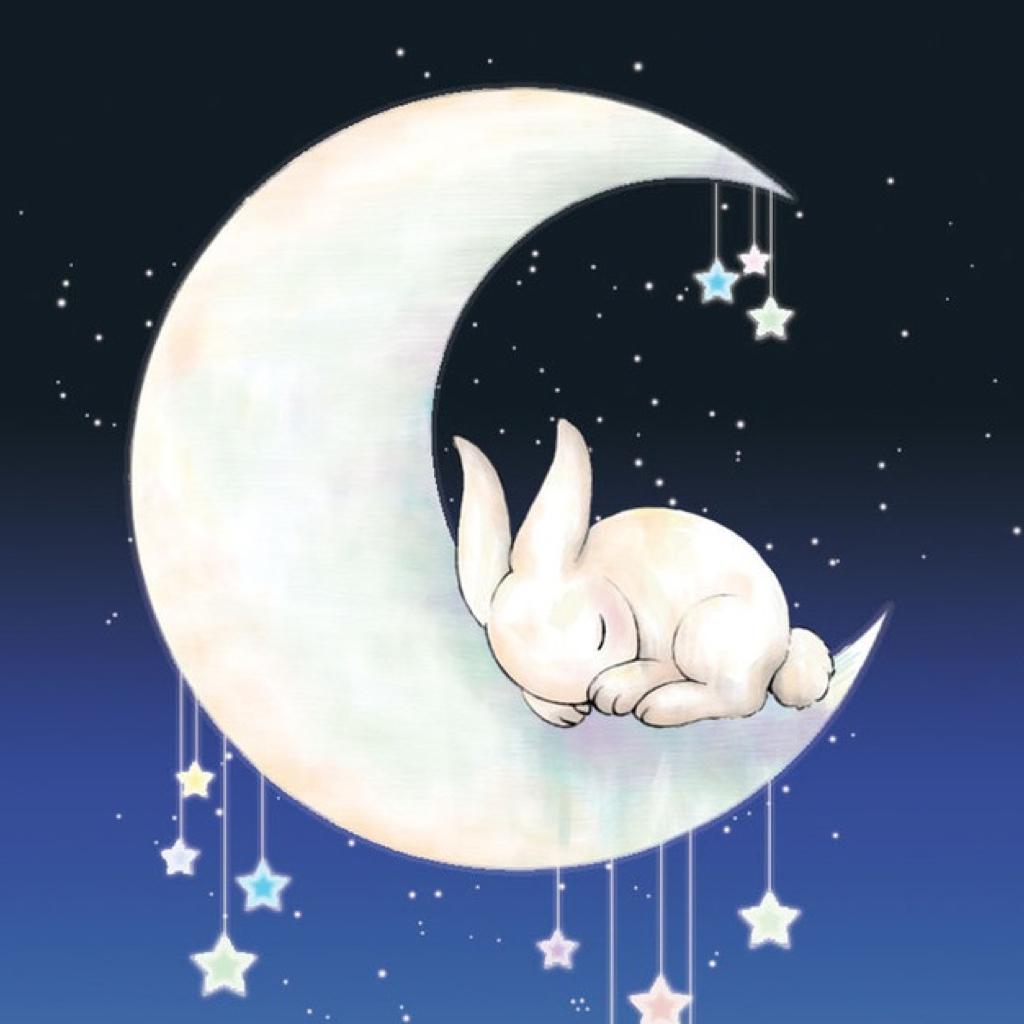 Заяц спит на Луне