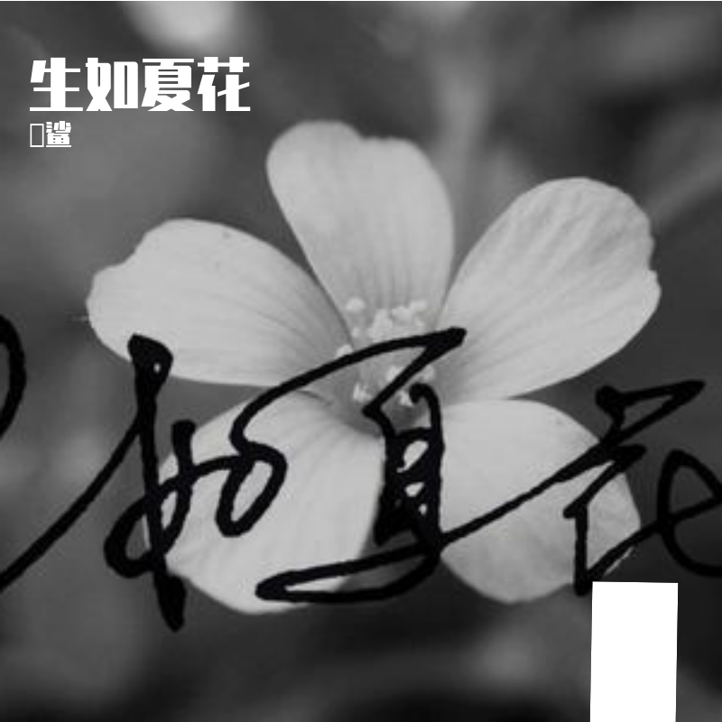 生如夏花
