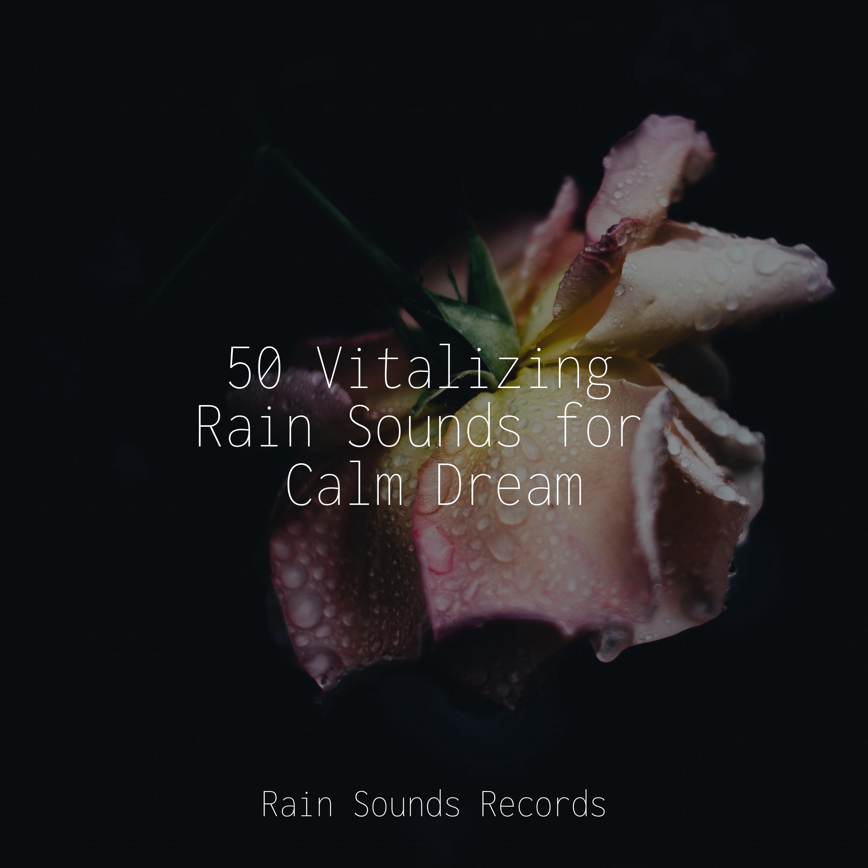50 Vitalizing Rain Sounds for Calm Dream