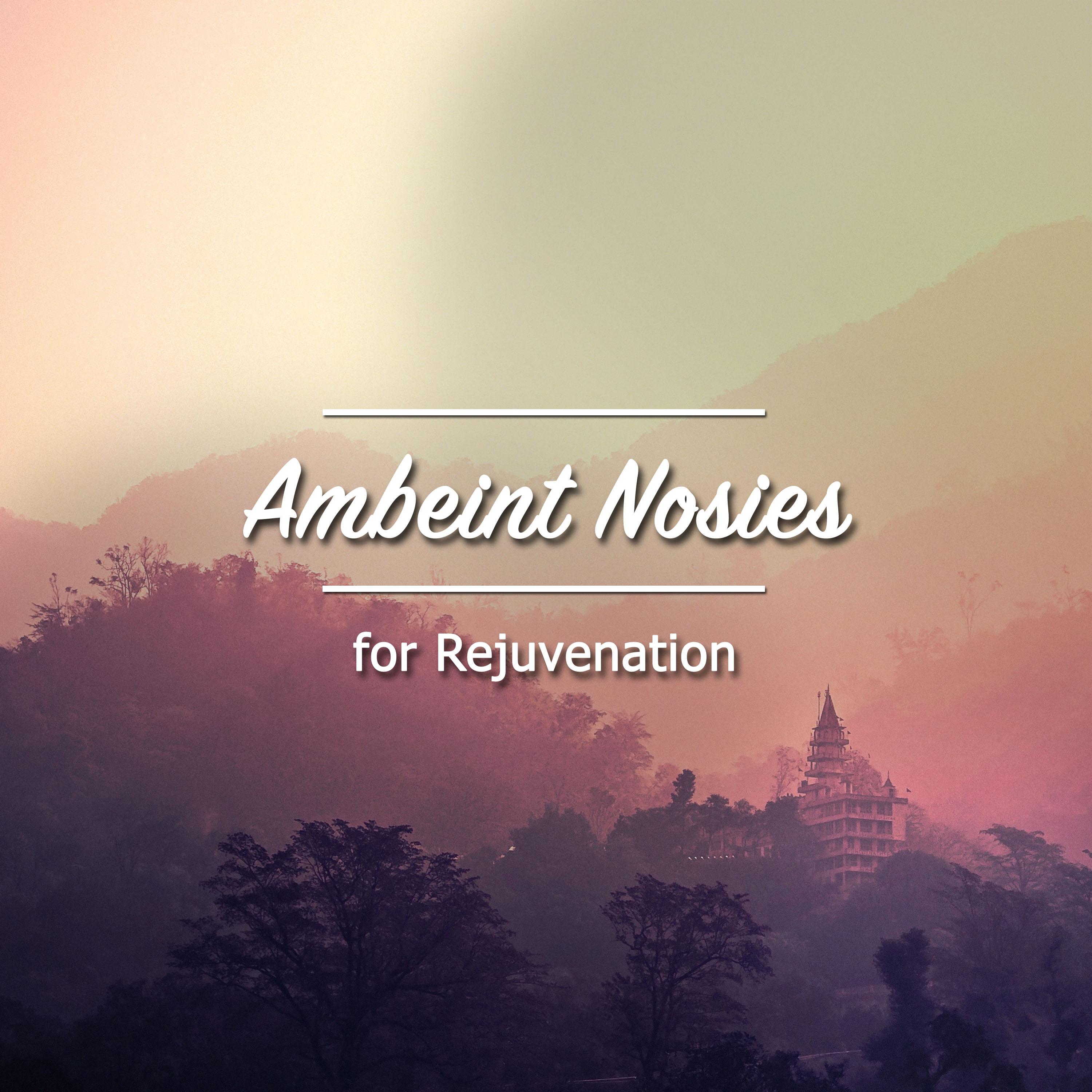 10 Relaxing, Ambient Noises for Rejuvenation专辑