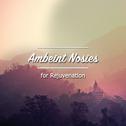 10 Relaxing, Ambient Noises for Rejuvenation专辑