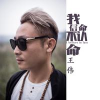 王伟-我信命不认命(演唱会)