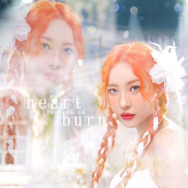 白菜菜QAQ - Heart Burn