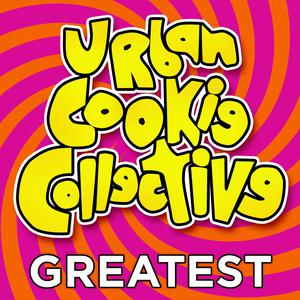 Urban Cookie Collective - The Key the Secret (Karaoke Version) 带和声伴奏 （降4半音）