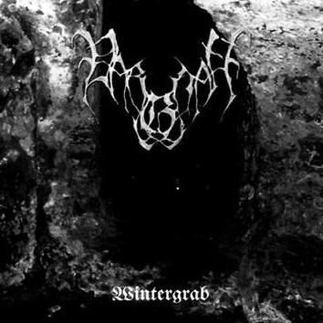 Wintergrab