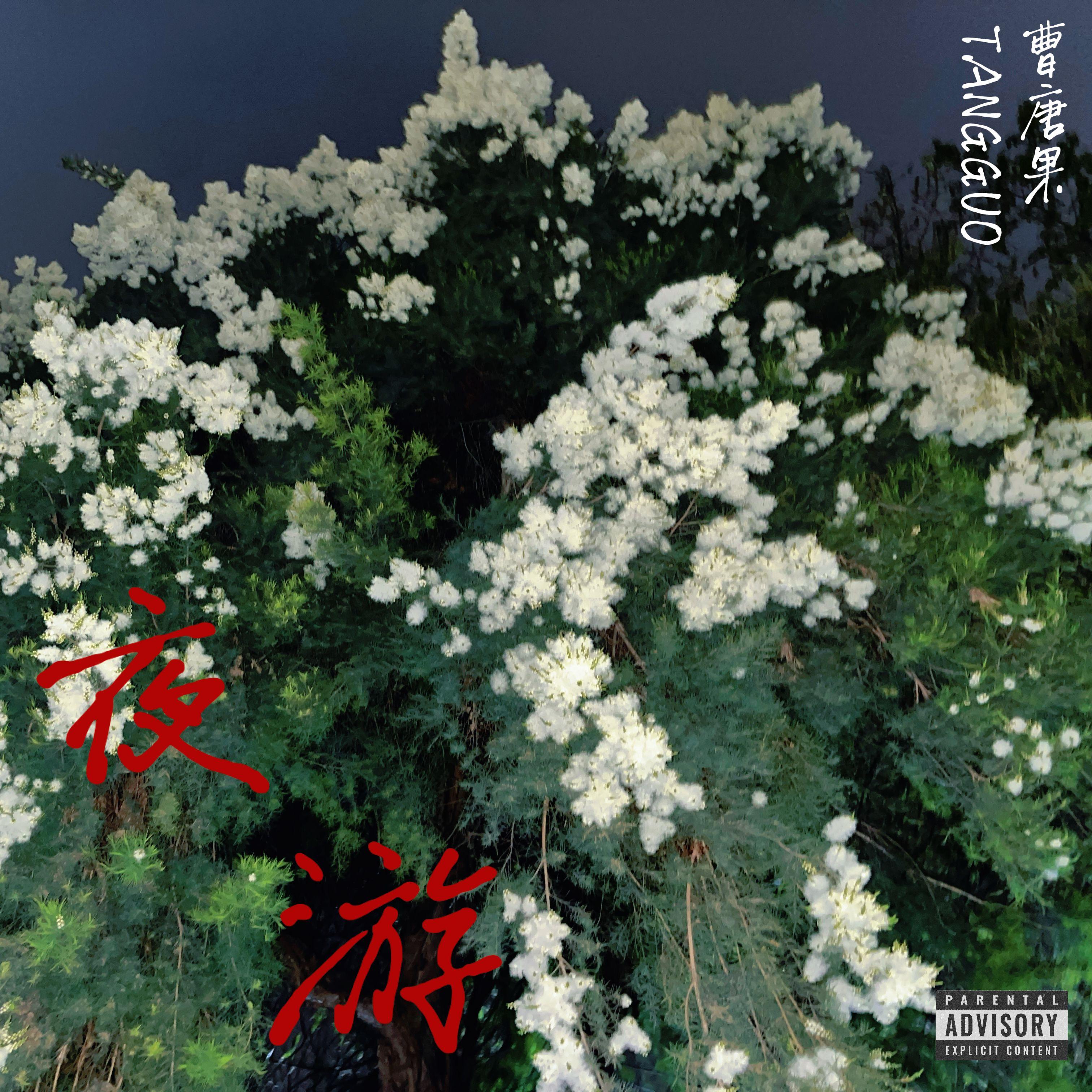 夜游