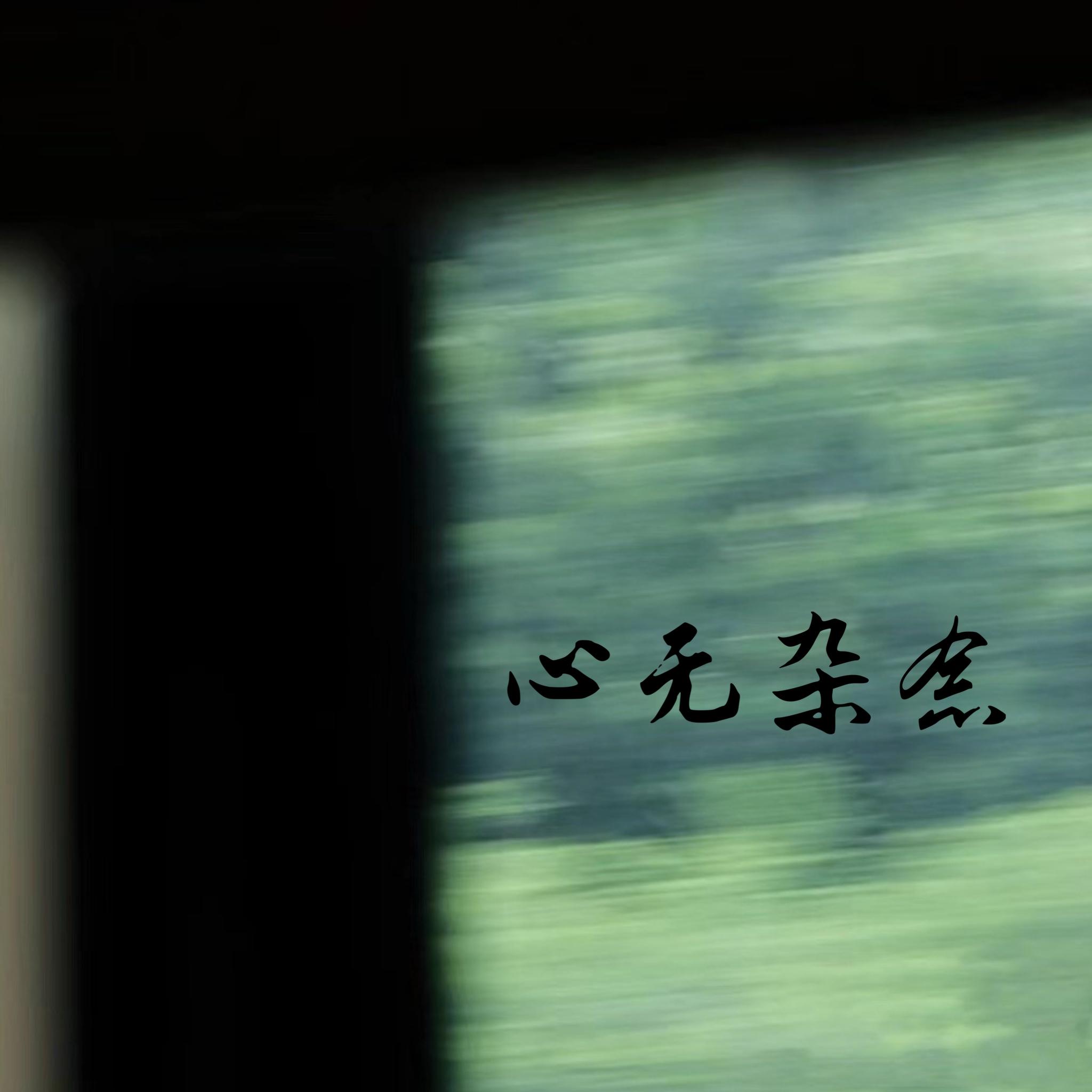 心无杂念