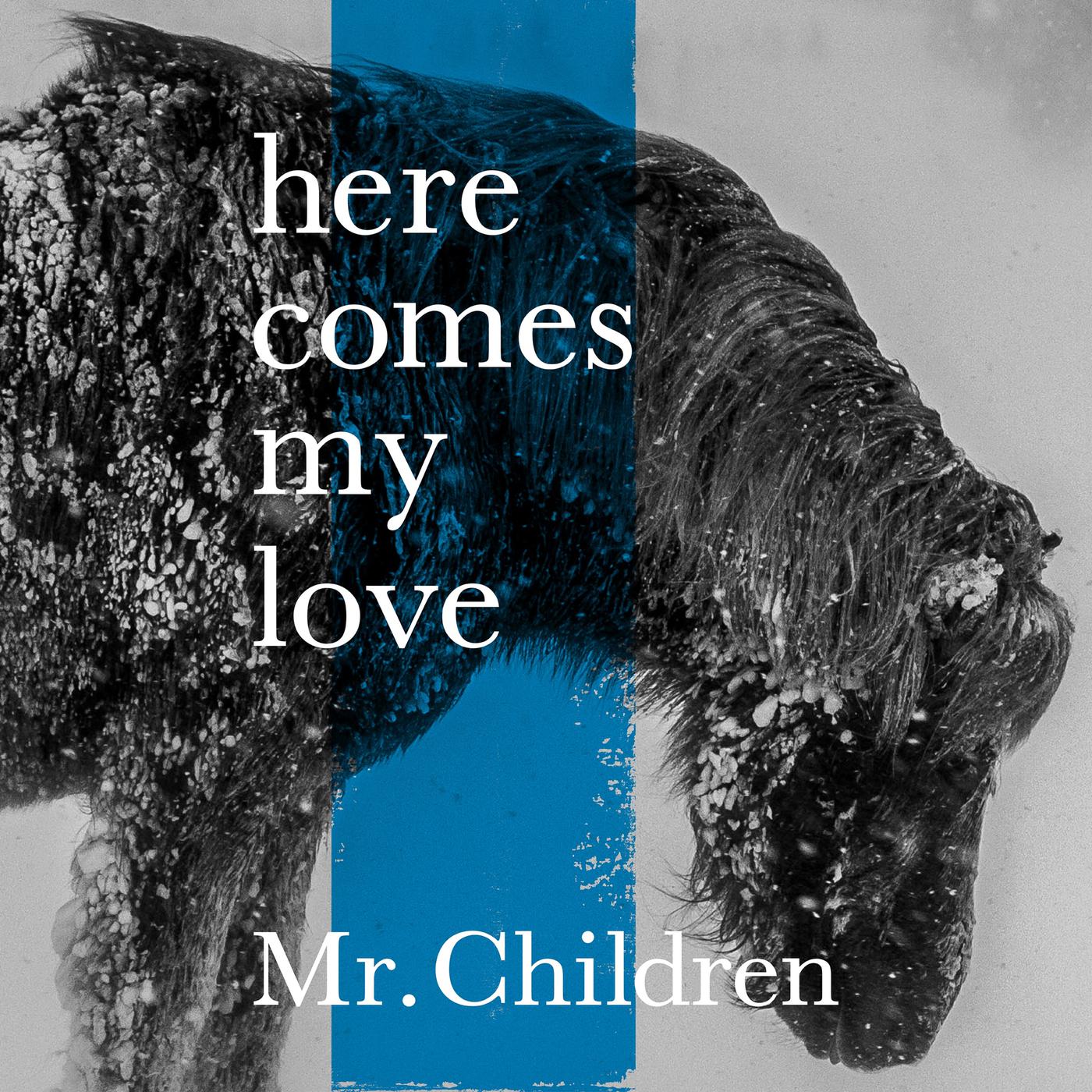 Mr Children