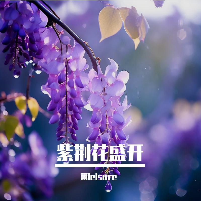 蕾leisure - 紫荆花盛开