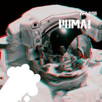 PUMA(王以太 刘柏辛 伴奏)