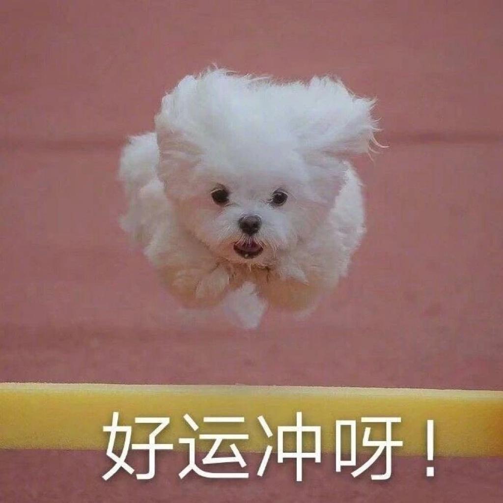 音美中考测评必备歌单